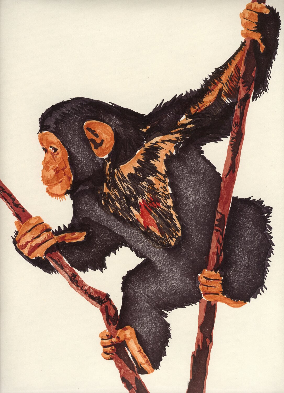 Computer art print of Chimp, created in 1983 with an HP computer and pen plotter.