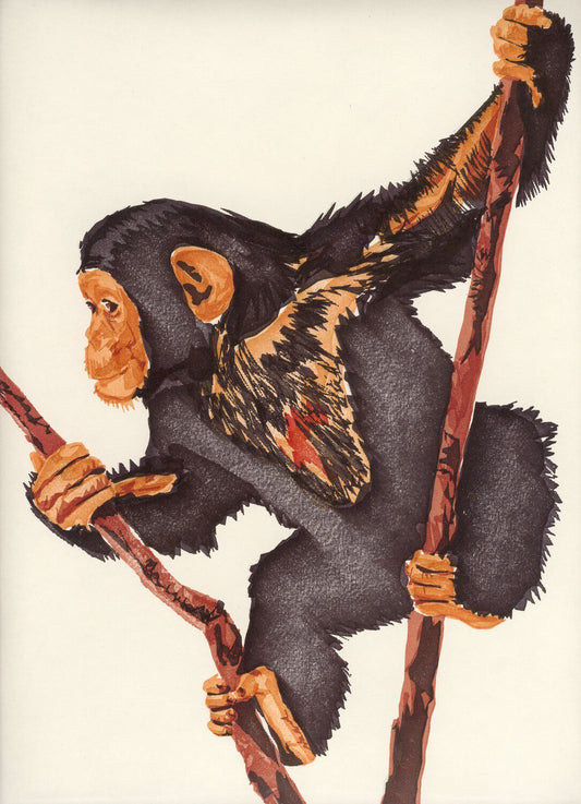 Computer art print of Chimp, created in 1983 with an HP computer and pen plotter.