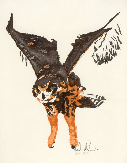 Computer art print of Owl, created in 1983 with an HP computer and pen plotter.