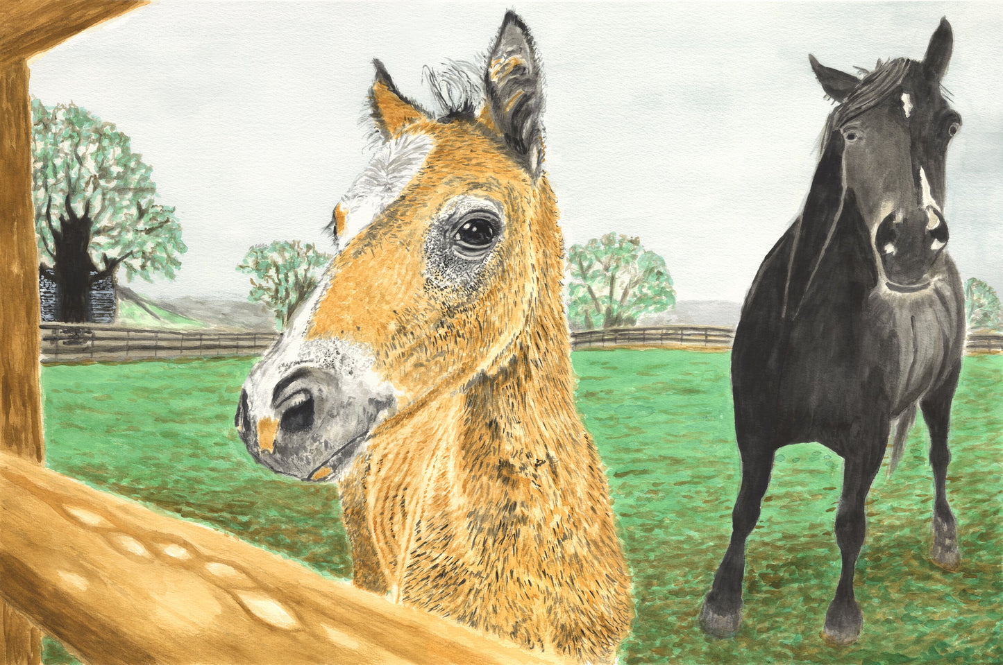 Watercolor painting of a two-week-old colt with its mother watching nearby in a pasture.